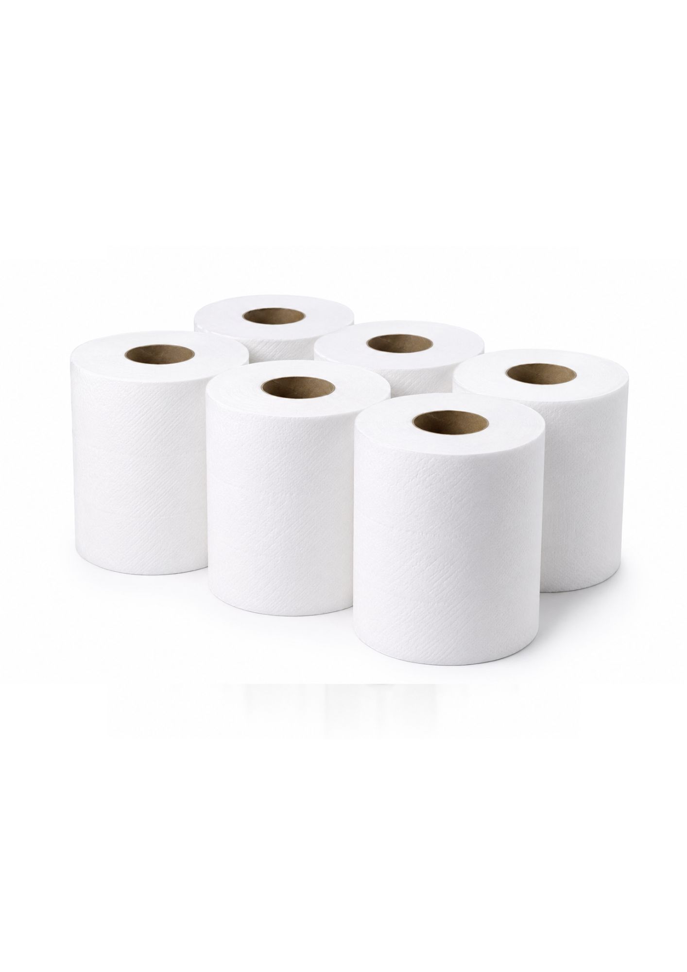 Maxi Roll Plain 2ply - 800gm6pcs