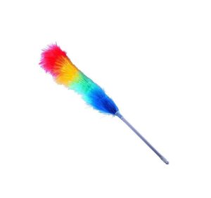 Feather Duster