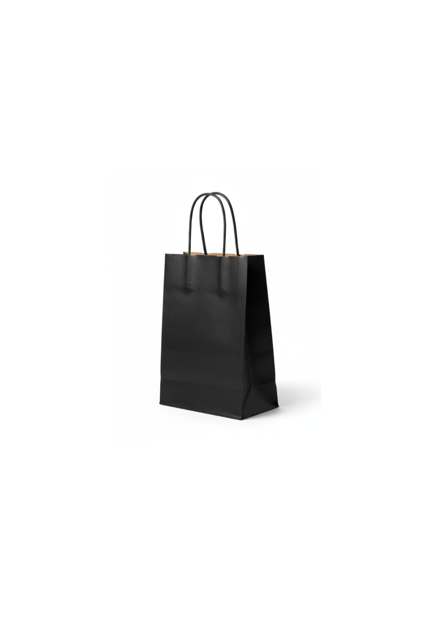 Kraft Paper Bag Twisted Handle -Black
