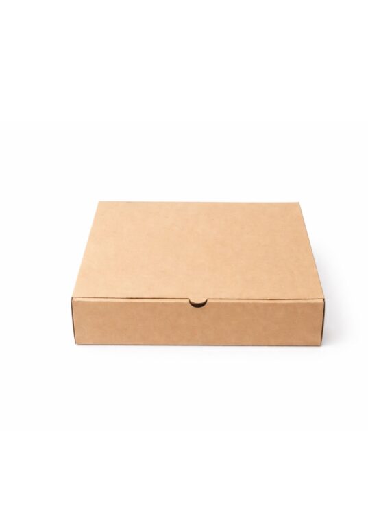 Packing Box (26.5*23.5*7 Cm)(100Pcs)