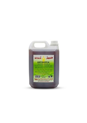 Antiseptic Disinfectant - 5ltr