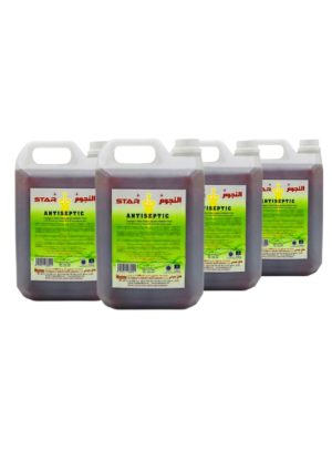 Antiseptic Disinfectant - 5ltrx4 pcs