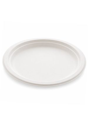 Bio Degradable Bagasse Plate 10" (500Pcs)