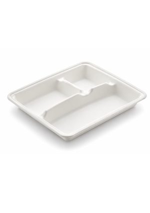 Bio Degradable Bagasse Plate 10″ Square 3 Portion ( 500 Pcs )