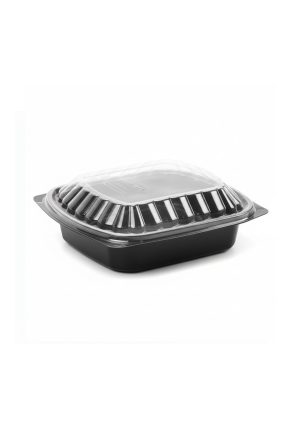 Black Base Container with Lid 1– Compartments